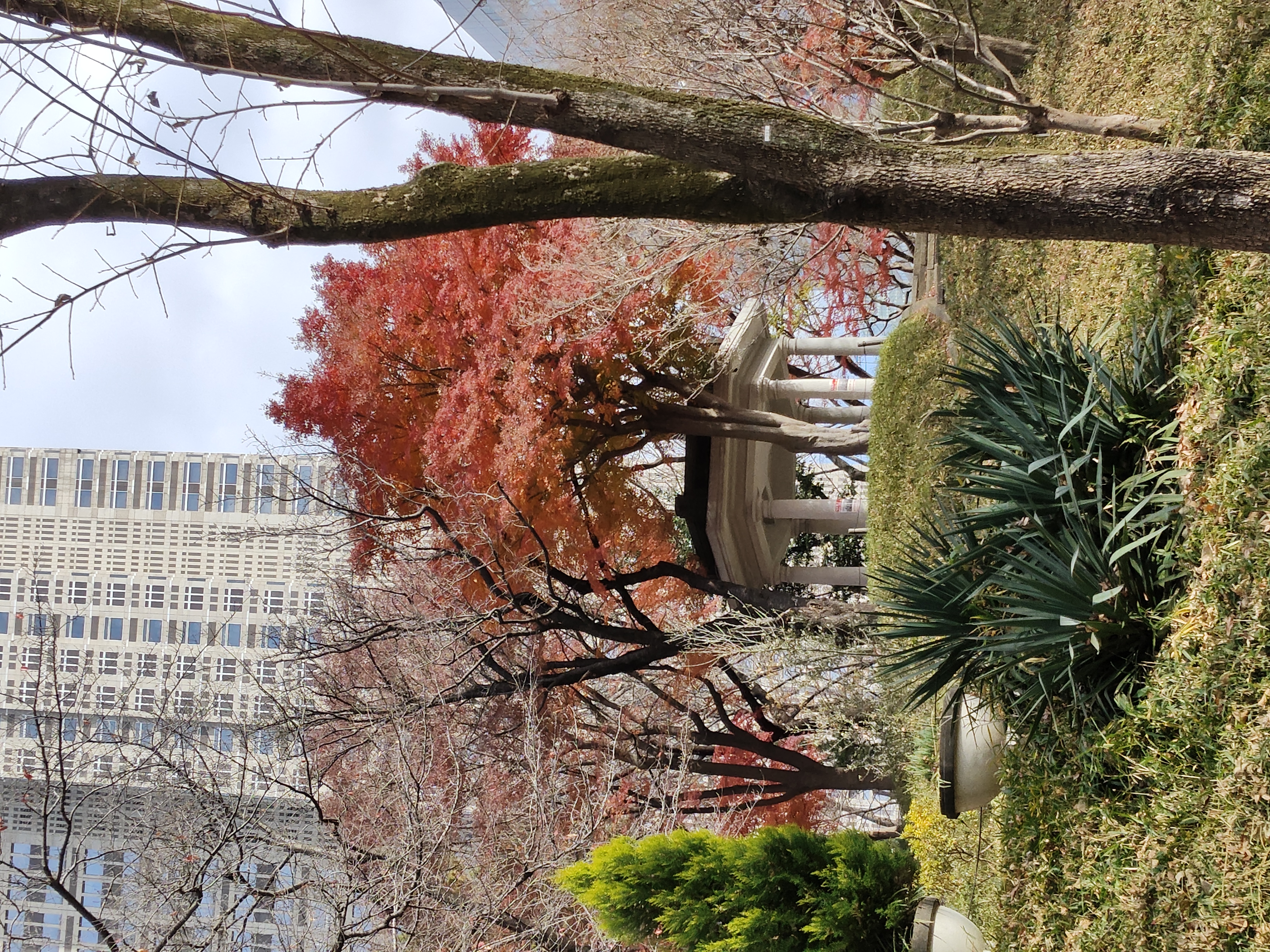 Some sights from around Shinjuku-chuo park - Lots of trees, statues, and even a raised pavillion