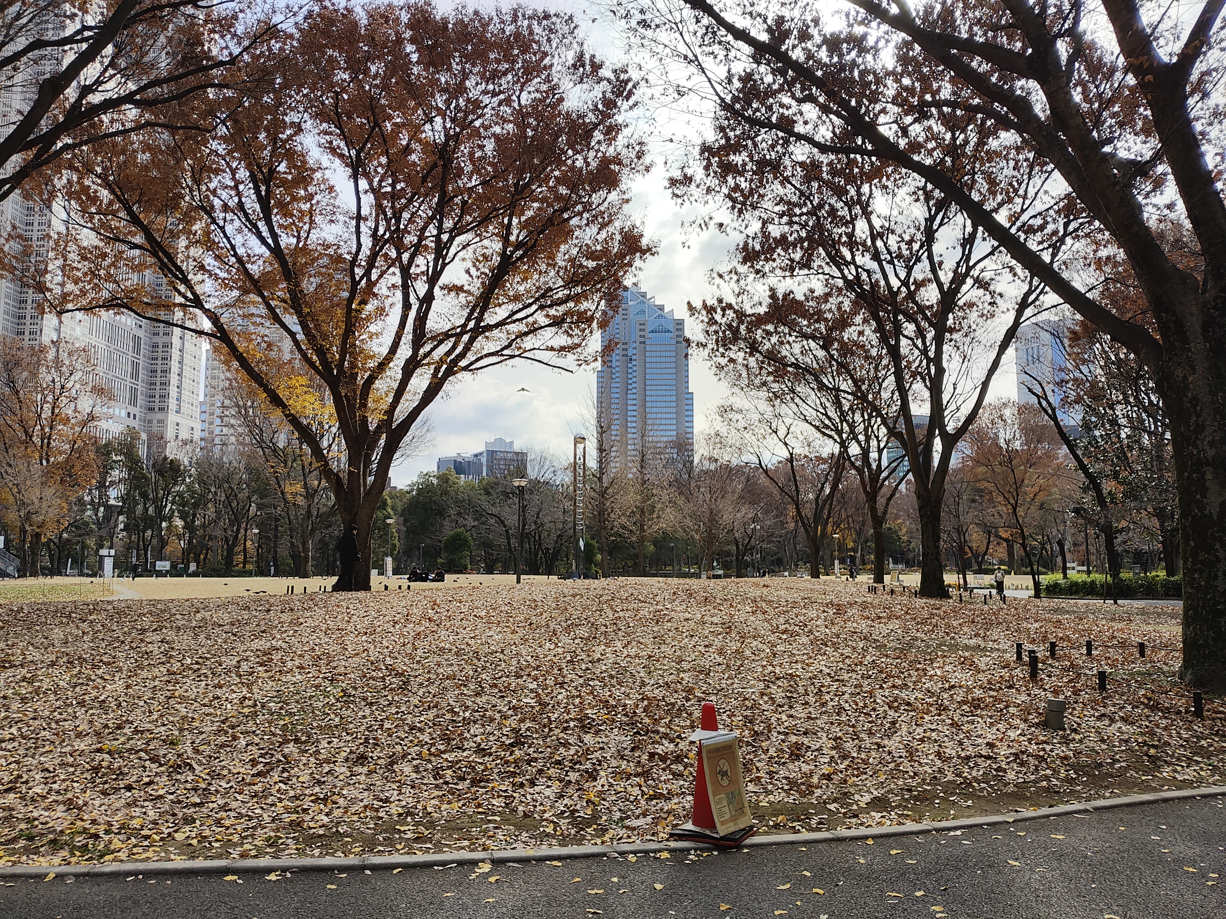 Some sights from around Shinjuku-chuo park - Lots of trees, statues, and even a raised pavillion