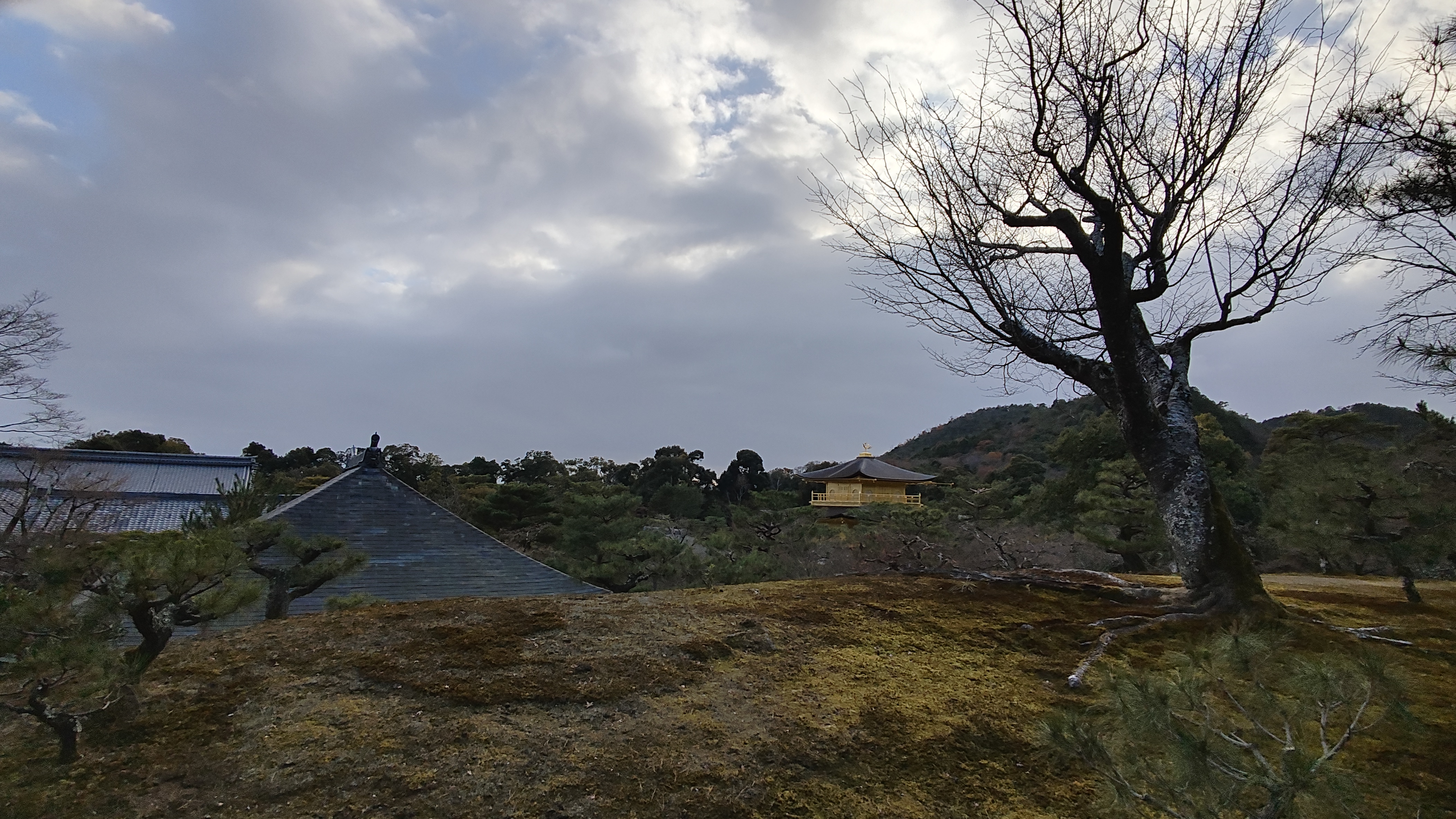 My favorite photos from Kinkaku-ji. For any fellow Pokémon fans, this site is the inspiration for the Tin Tower - you can see the real Ho-oh, the actual Mythological figure, perched on top of the pavillion.